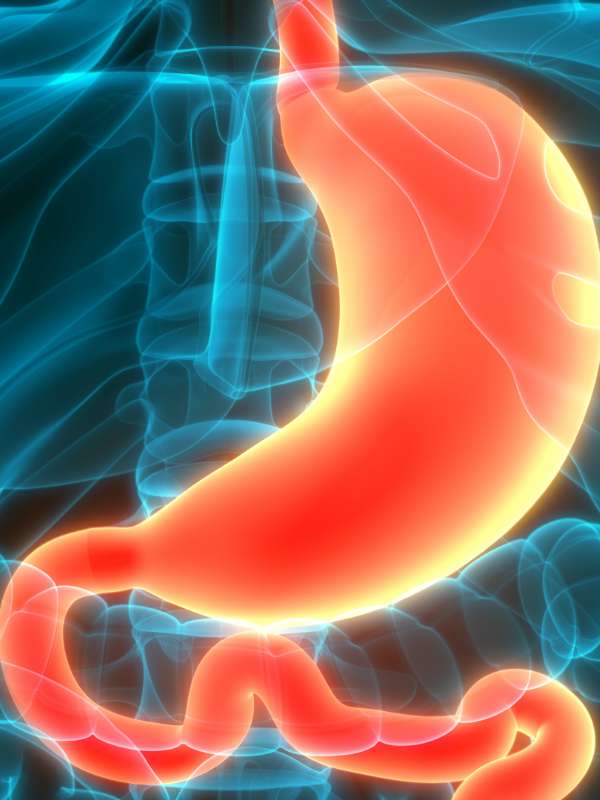 Bauch